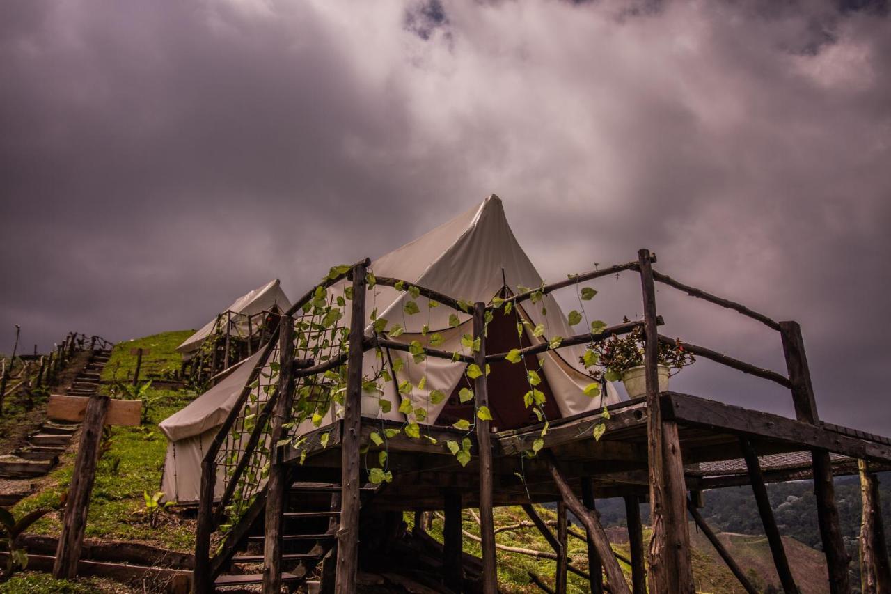 glamping rustiko Vandrehjem Salento Eksteriør billede